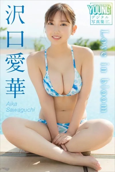 画像 14 1